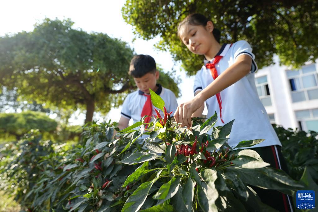 通博信誉最好的老虎机